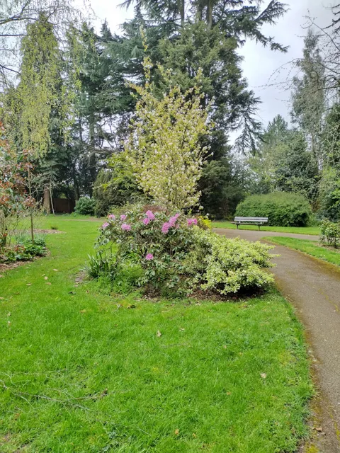 Rockley Memorial Park