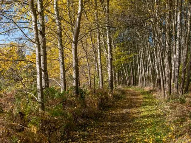 Höltigbaum Nature Reserve