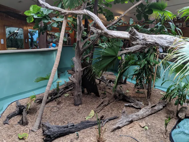 Edisto Island Serpentarium