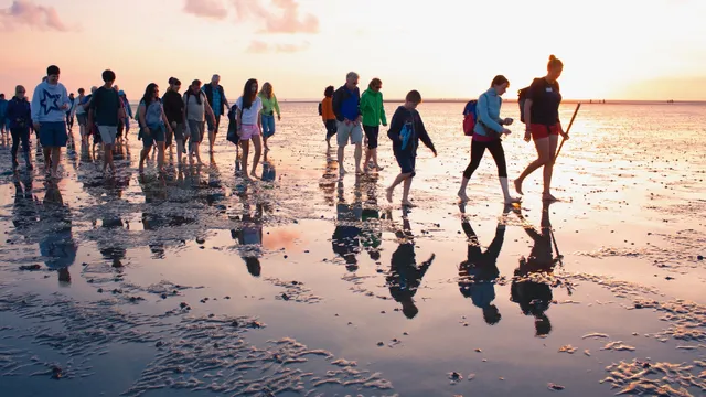 Nationalpark-Haus Natour-Düne Amrum (Schutzstation Wattenmeer)