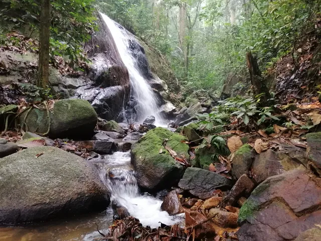 Commonwealth Forest Park Falls