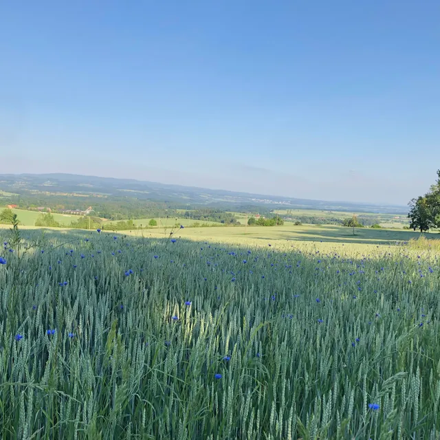 Barunčina vyhlídka