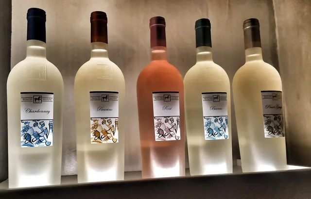 Tenuta Ulisse Winery