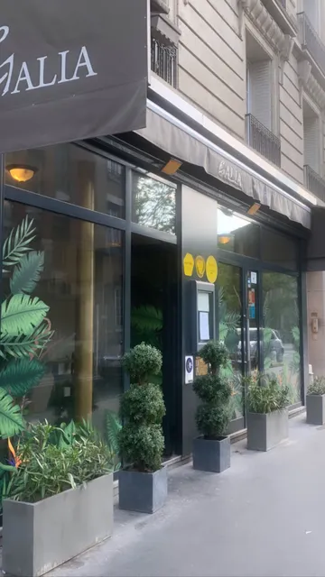 Galia par Maxim Godigna