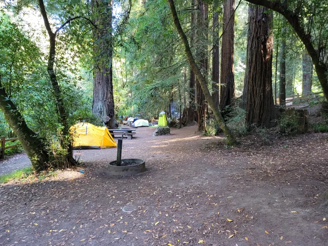 Samuel P Taylor State Park