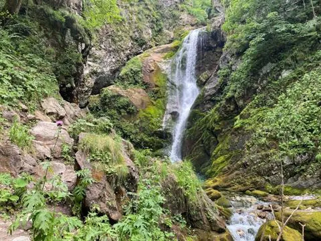 Piedmont Natural Reserve