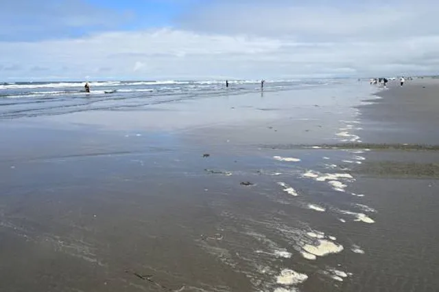 Ocean Shores Beach