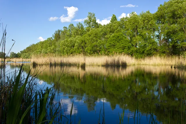 Shevchenkivs'ke Lake