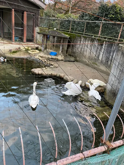 Yukyuzan Small Animal Zoo