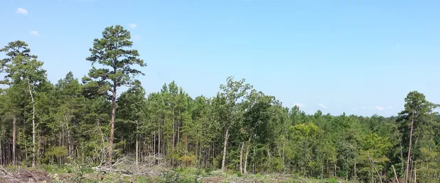 Maydelle Country Wines