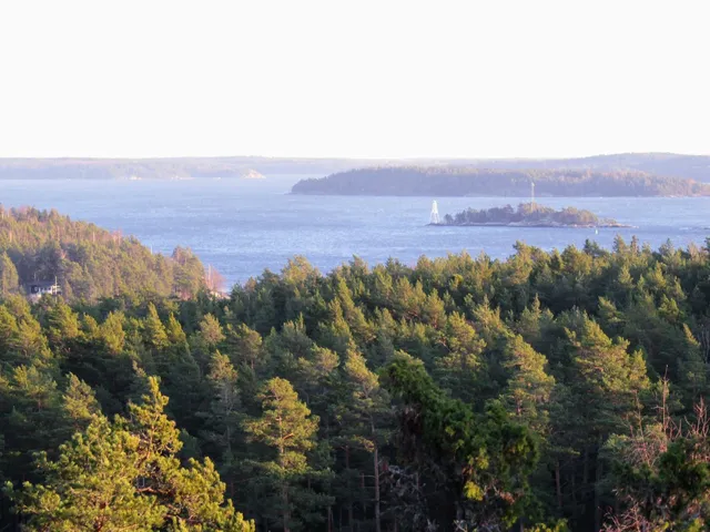 Karhuvuori Observation Tower