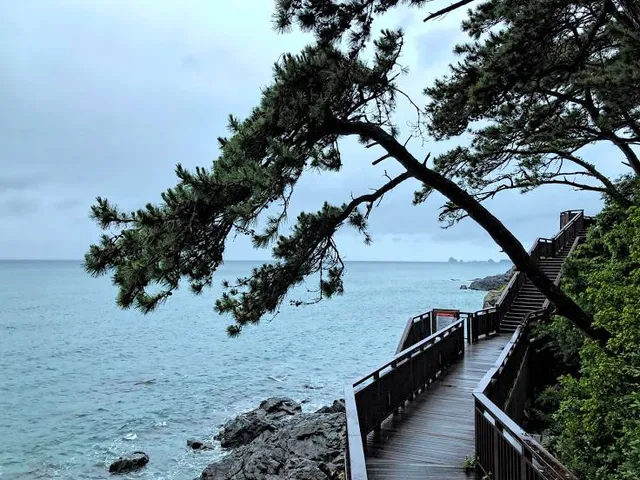 Amnam park cliff walk