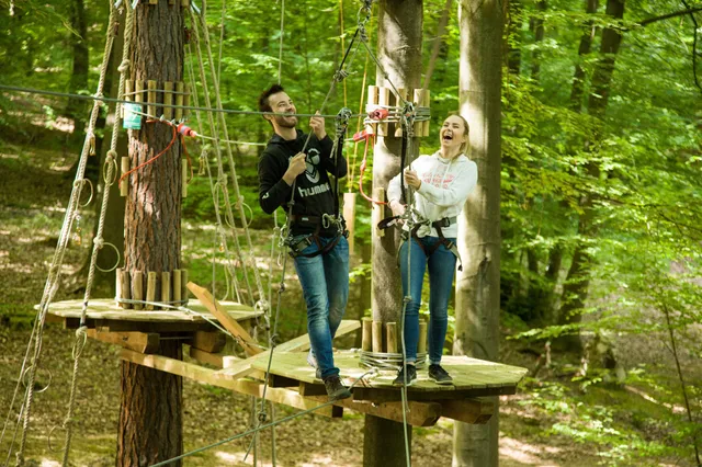 Forest Adventure - forest climbing park