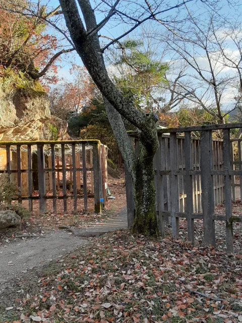 photo-1