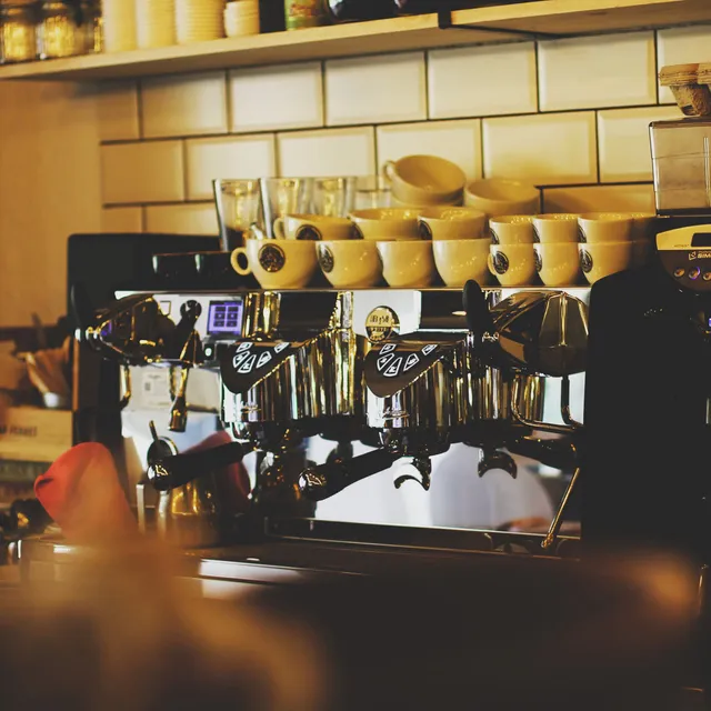 CHACHA Ferret Coffee Shop