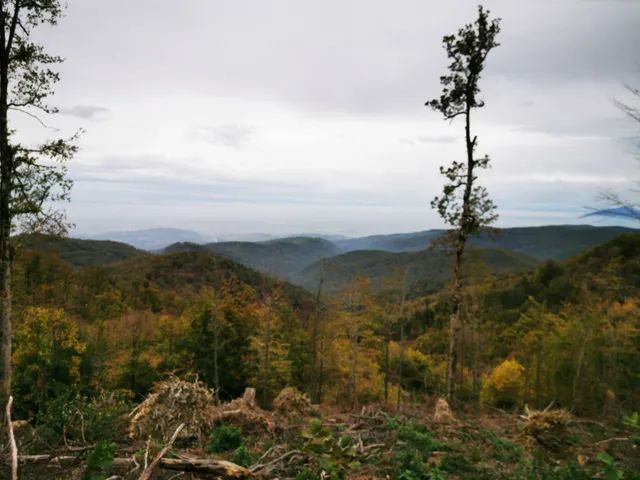 Medvednica Mountain Trail 9