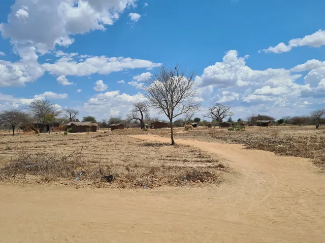 Shire Eco Safari Camp