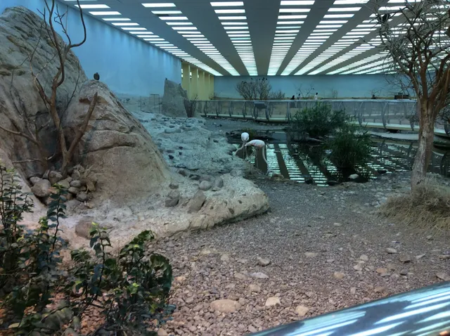 منتزه الصحراء