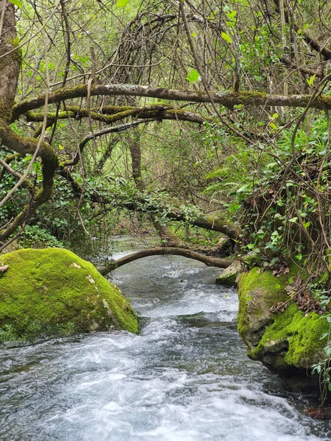 Inicio de la ruta del río Majaceite