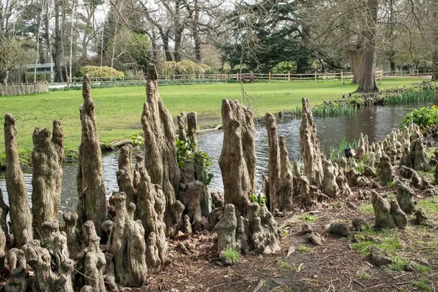 Waterhouse Woodland Gardens