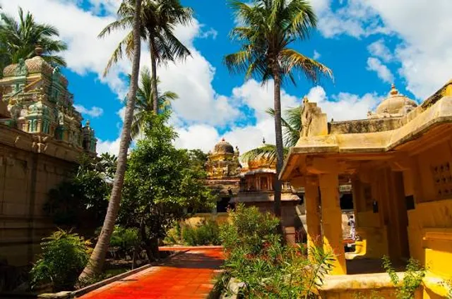 Survaya ki Garhi (Archaeological Site) 10th century