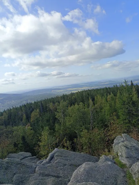 Szlak na Sępią Górę