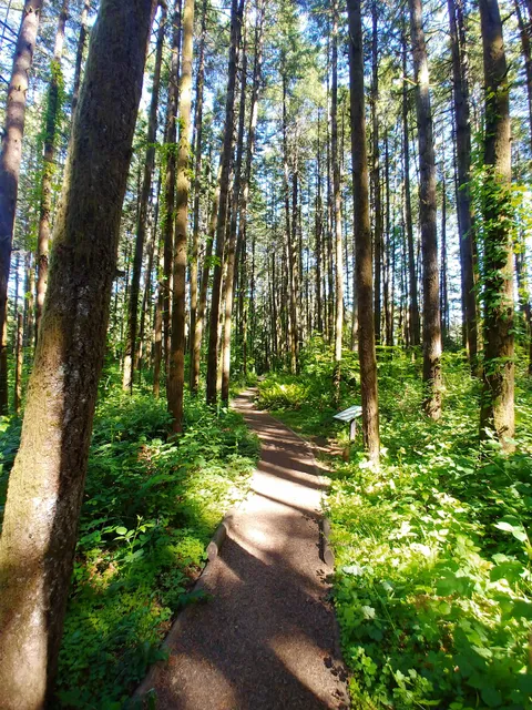 Calloway Creek Trail