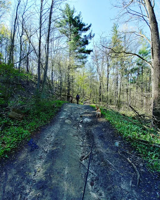 Barker's Bush (NE Trail Head)