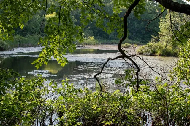Sloan's Crossing Pond Walk