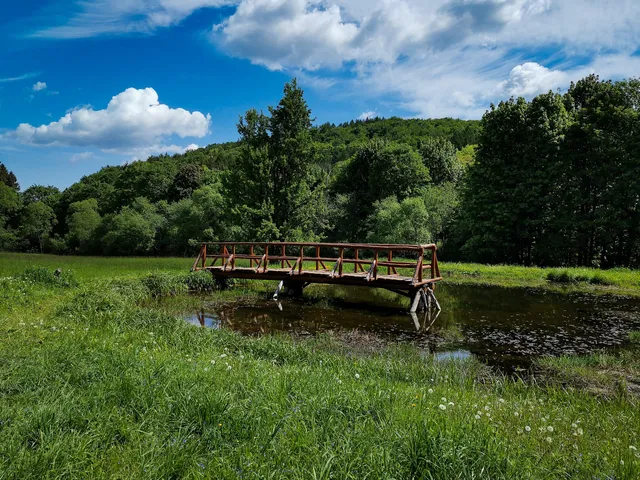 Ścieżka przyrodnicza Kiczera