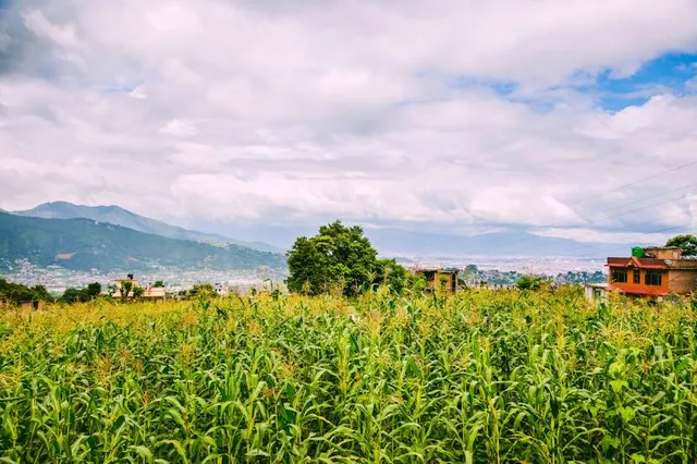 Onojo Ikoinomori Park