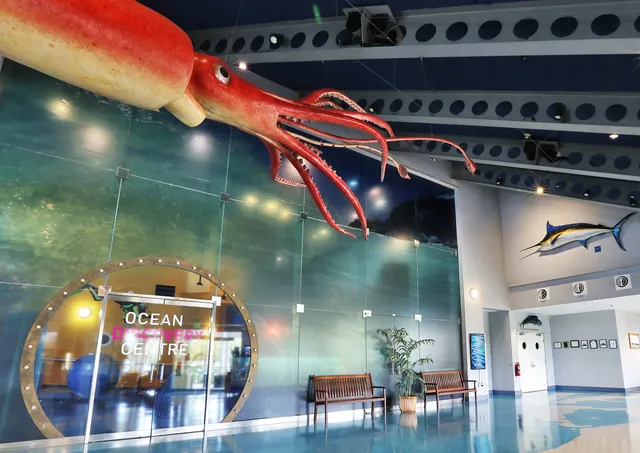 Bermuda Underwater Exploration Institute