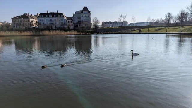photo-1