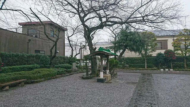 photo-1