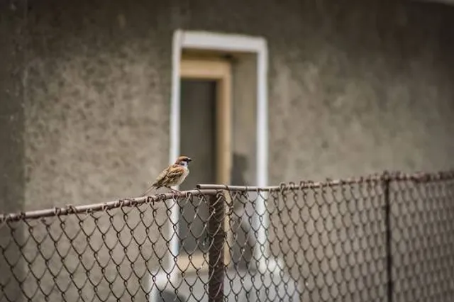 Michael the Voivode Church