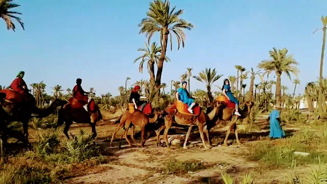 Camel Ride Marrakech