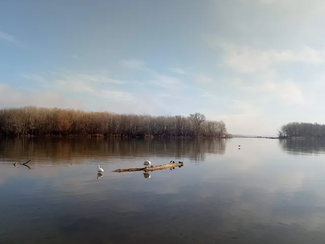 Prírodná rezervácia Dunajské ostrovy
