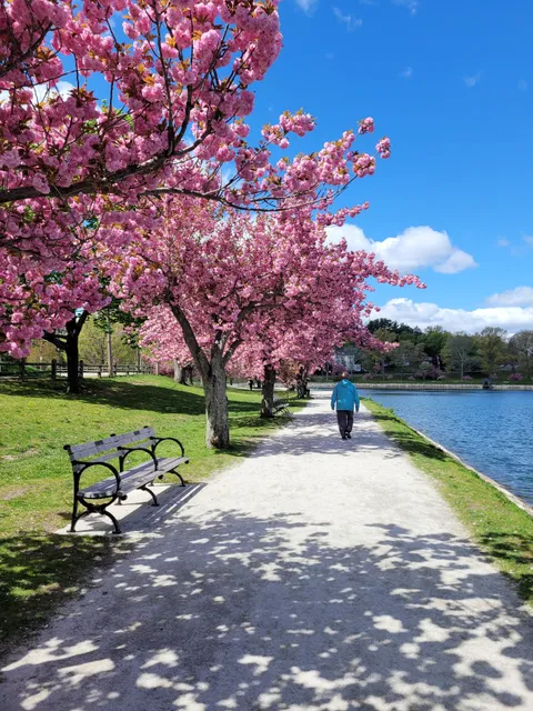 Brookline Reservoir Park