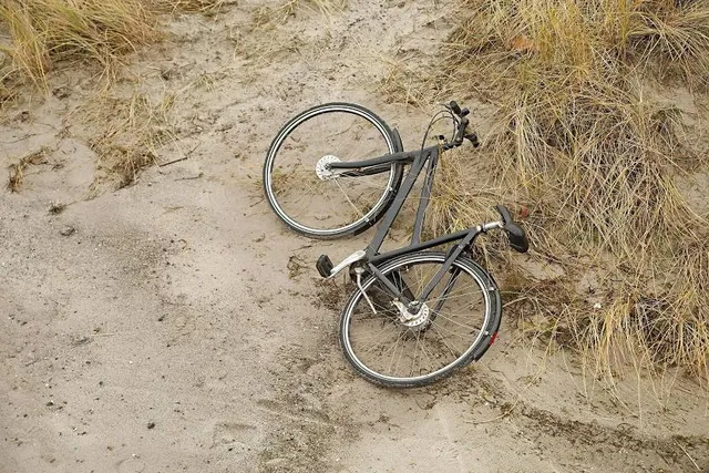 Ambazari Biodiversity Park