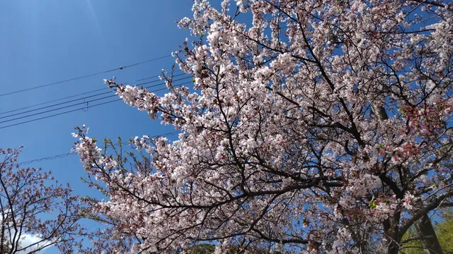 Kashima Ogidaira Natural Park