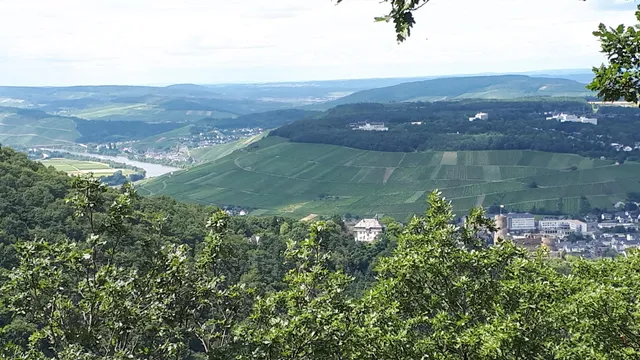 Seitensprung Bärensteig Bernkastel-Kues