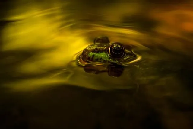 Monocacy Hill Recreation Area