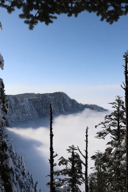 Wawu Mountain Forest Park