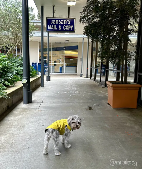 Diamond Heights Shopping Center