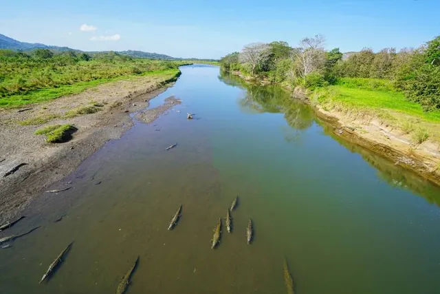 Crocodile River Reserve