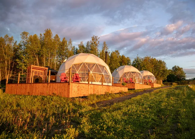 CAMPagne au Clos Sainte-Thècle