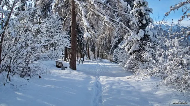 Mautmeile Greifenburg