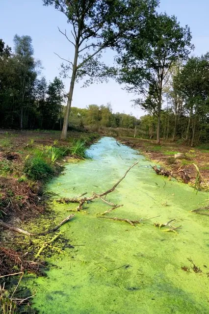 Canto das Cachoeiras Cunha SP