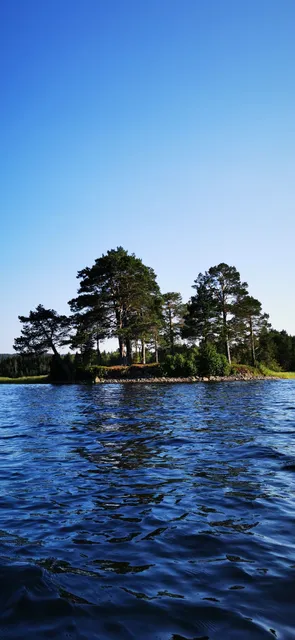 place image