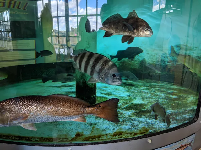 Port Royal Sound Foundation Maritime Center